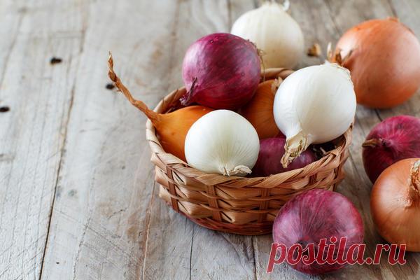 Чем отличается белый лук от обычного и какие сорта вырастить на даче