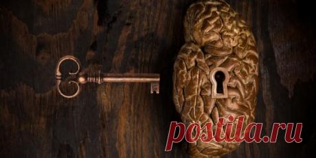 Как развить память и внимание | Golbis