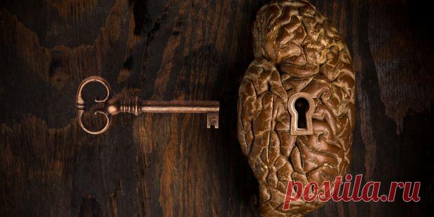 Как развить память и внимание - Лайфхакер