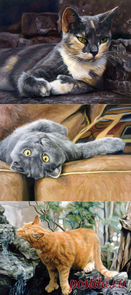 Чтобы так рисовать кошек, их нужно любить...