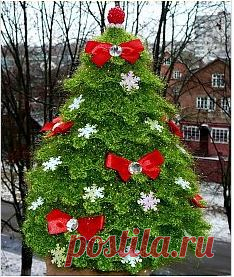 ❀ Холодец и заливное. Ёлочка крючком. Применение водки. Французские пончики. Упражнения от сутулости. 15 свечей // Кусочек Постилы к чаю! - strundik@mail.ru - Почта Mail.Ru