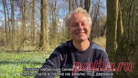 Весна в Саду Души - Сцилла!