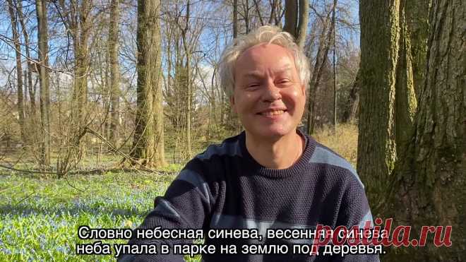 Весна в Саду Души - Сцилла!