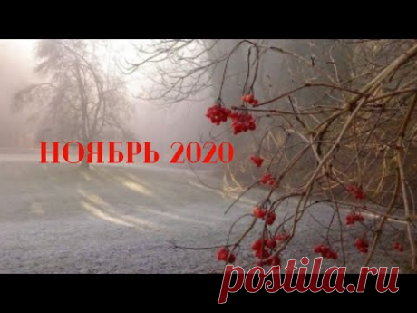 Экспресс Таро прогноз на Ноябрь 2020  для всех знаков Зодиака (Астрологический Оракул Симболон)