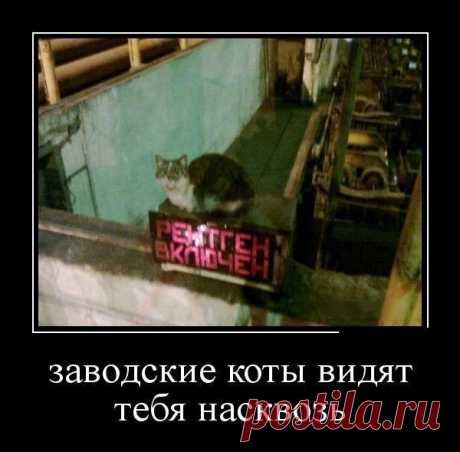 Смешные демотиваторы / Приколы