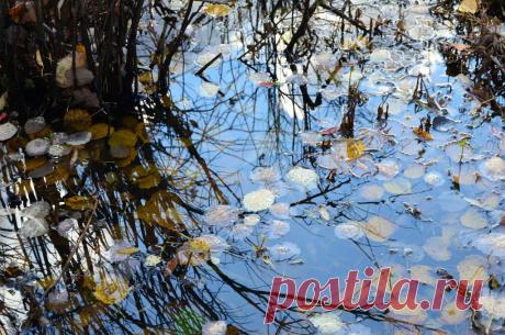 ФОТОМАСТЕРСКАЯ ПРИРОДЫ
ЛЮДА СУСЕКОВА(ПОЛОМОШНОВА)