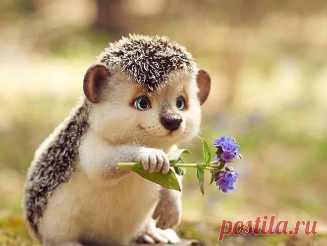 ПОЗДРАВЛЯЮ...