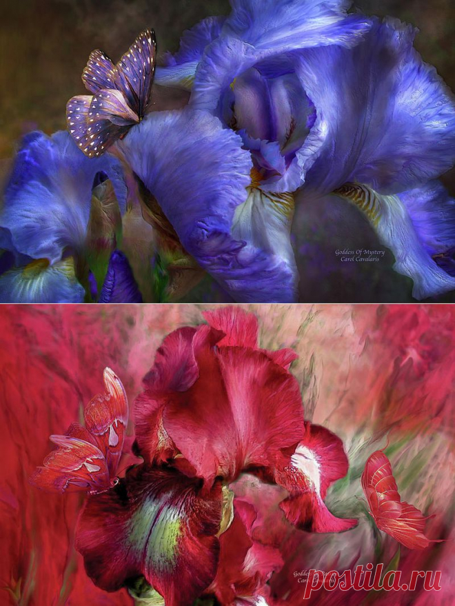 Цифровая живопись Кэрол Каваларис..