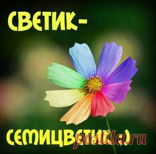 семь цветов радуги