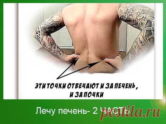 Лечу печень! Часть 2 | 45 арбузов

Продолжение и дополнение к предыдущему комплексу по восстановлению печени. Почему эти упражнения эффективны и что они нам могут дать?