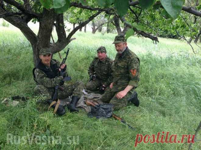 Ваше мнение