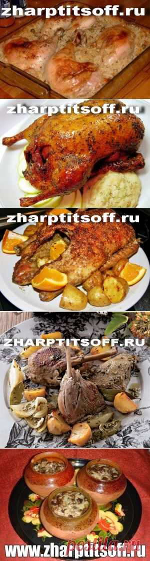 Вторые блюда из УТКИ - Блюда из птицы и кролика