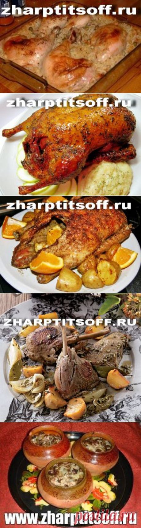 Вторые блюда из УТКИ - Блюда из птицы и кролика