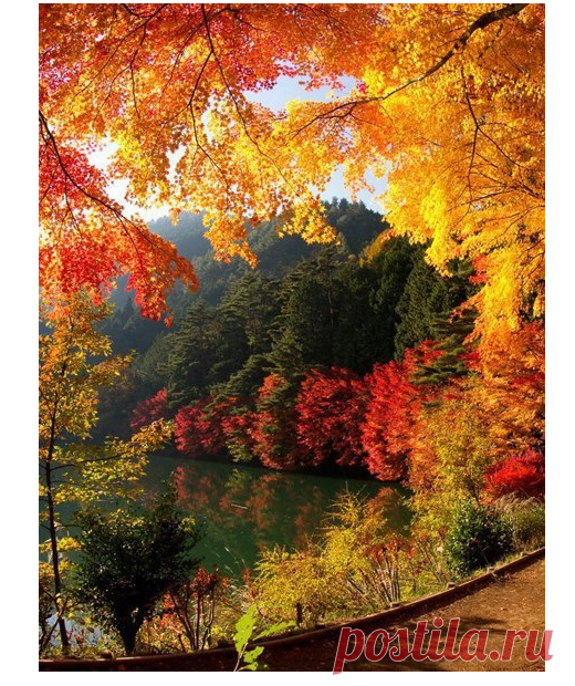 Красоты осени. Рукоделие идеи и советы handmade | ВКонтакте