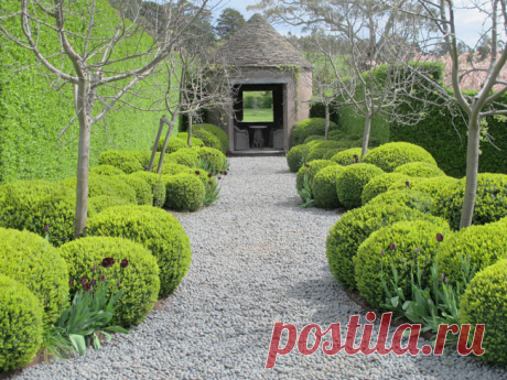 Бирючина обыкновенная: посадка, способы размножения и несложные правила ухода Идеальный кустарник для создания живых изгородей и бордюров, а также оформления садовых дорожек и цветников Бирючна – это вечнозеленый листопадный кустарник, который относится к семейству маслиновых...