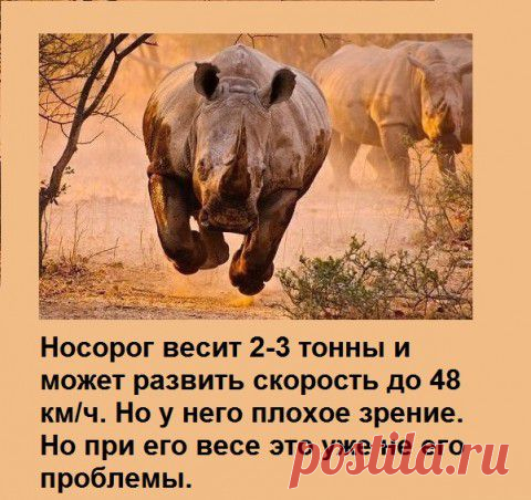 Народное экспромтное творчество 34. | Приколисты