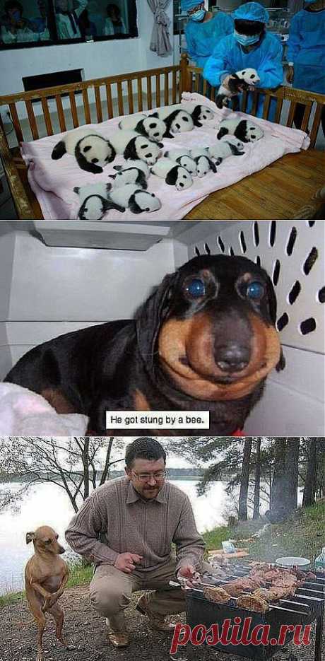 О...