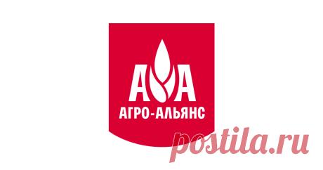 Хрустящие хлебцы | Пошаговый рецепт с фото - Агро-Альянс | Мир круп Хрустящие хлебцы из овсяных хлопьев, вкусные постные рецепты