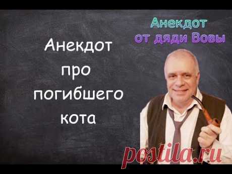 Анекдот про погибшего кота. Анекдоты от дяди Вовы.