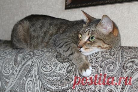 Умный дом. Полезные советы!