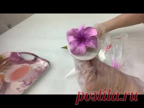 ТЕПЕРЬ у всех получится🤗 ПЕТУНИЯ из БЗК💐 ПОДРОБНЫЙ МК