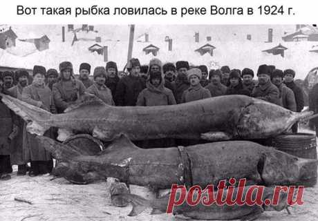 Владимир Викторович Репринцев - Луганск, Луганская обл., Украина, 57 лет на Мой Мир@Mail.ru