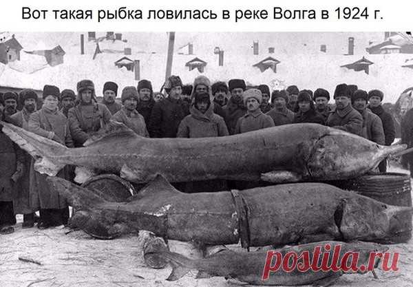 Владимир Викторович Репринцев - Луганск, Луганская обл., Украина, 57 лет на Мой Мир@Mail.ru