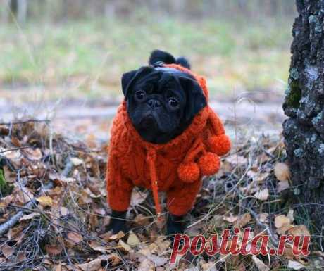 (95) Facebook
