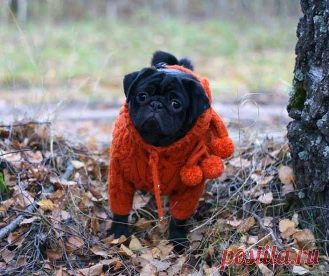 (95) Facebook