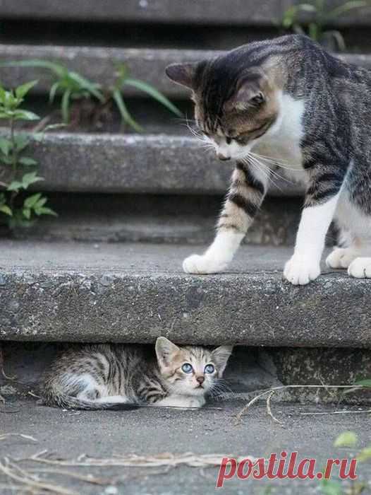 (20+) Carmo Martins | Facebook