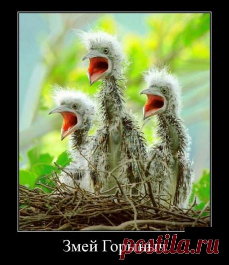 Вечно балансирую на тонкой грани между: «Береженого Бог бережет» и «Сгорел сарай - гори и хата»....