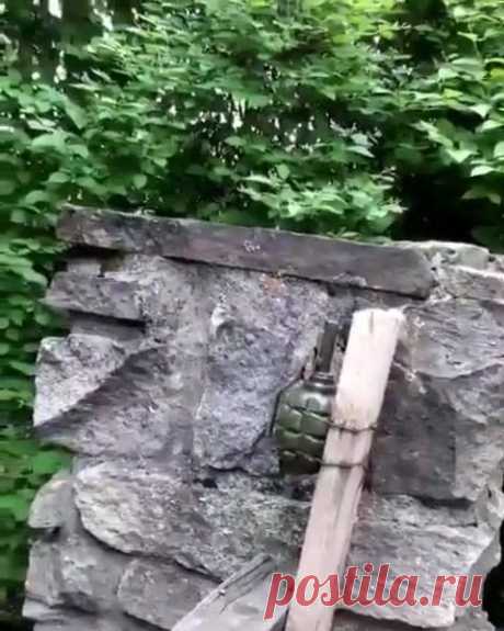 Андрей Пауков - Андрей Пауков поделился видео Russia I Germany.