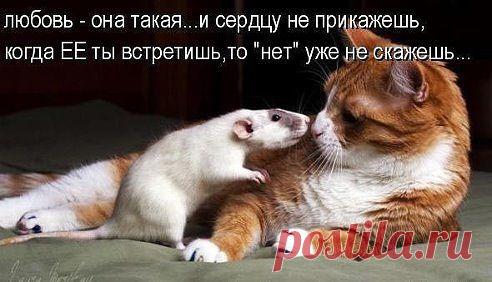 ((((Положительное Настроение))))
Елена Будник (Курачкова)