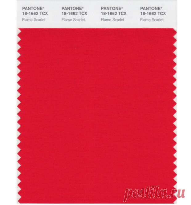 16 самых модных цветов весна-лето 2020 по версии Pantone