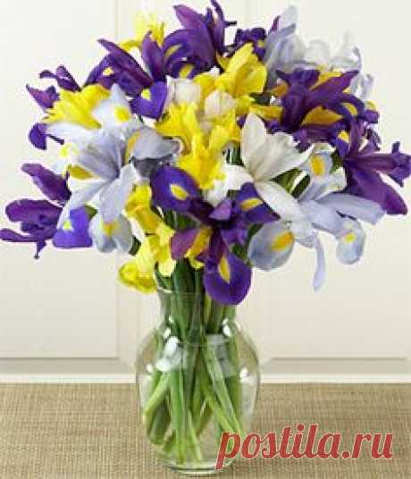 iris bouquet...For our wedding, I had a bouquet of Iris' in mostly white with a touch of purple/yellow (our wedding colors)