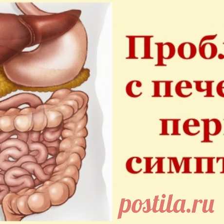 Новости - МирТесен