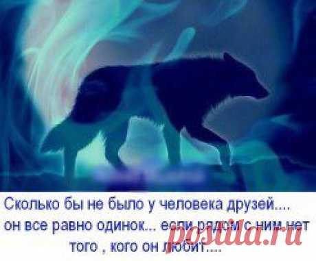 (9) Одноклассники