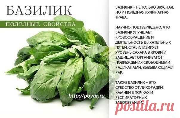 спаржа - Пошук Google