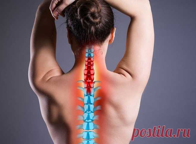 О каких болезнях расскажет наш позвоночник. 9 советов, как помочь ему оставаться здоровым в возрасте 45+ | ЗОЖ и Галка | Яндекс Дзен