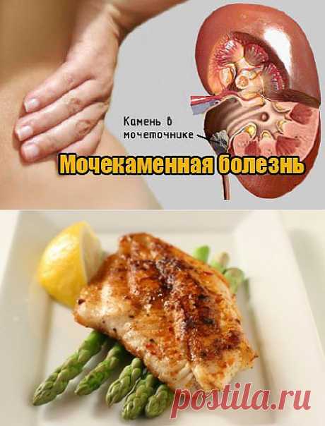Для почек Красота и здоровье