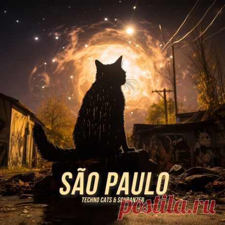 Download Techno Cats, Schranzer - São Paulo Label Z00 Styles Hard Dance / Hardcore Date 2025-01-24 Catalog # Z12 Length 6:09 Tracks 2