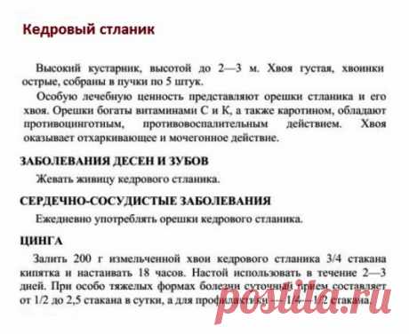 Кедровый стланик.
Травник. Золотые рецепты народной медицины. Универсальный справочник. Москва 2007.