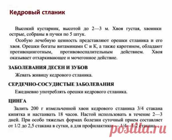 Кедровый стланик.
Травник. Золотые рецепты народной медицины. Универсальный справочник. Москва 2007.