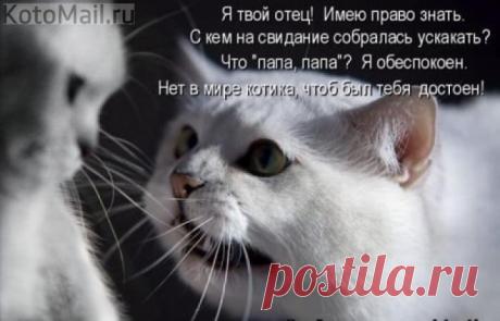 Строгий папаша