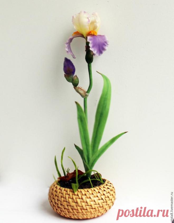 Мастерим ирис из полимерной глины — Сделай сам, идеи для творчества - DIY Ideas