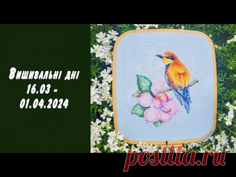 Вишивальні дні 16.03-01.04.2024. Старт і фініш &quot;Бджолоїдки&quot; від Лелі. Моє розчарування