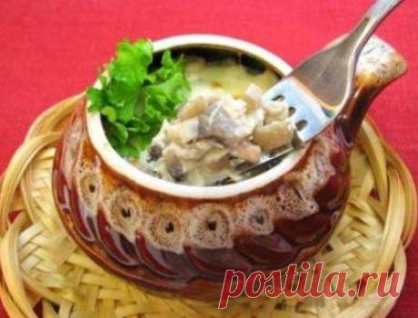 7 запеканок с картофелем и курицей на каждый день / Простые рецепты