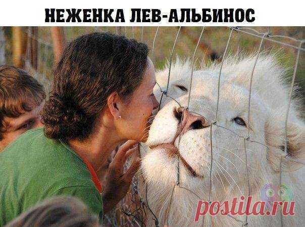 ЛЕВ. ГОРОСКОП НА МАРТ  

В марте не рискуйте деньгами. Начало месяца готовит для вас серьезные испытания. Сохраняйте достоинство, самообладание в любых ситуациях.

Прочитать полностью прогноз на март для всех Знаков Зодиака -