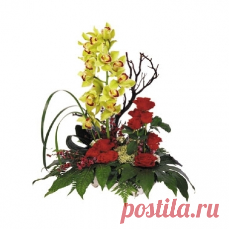 Заказать Пленительная красота c доставкой по Краснодару