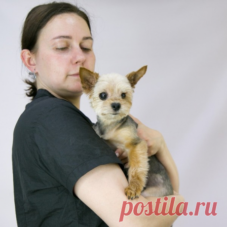 Крохотная собачка Ева в добрые руки. Москва и МО – Мы против жестокого обращения с ЖИВОТНЫМИ!!!, пользователь Любовь Морган | Группы Мой Мир
